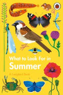 Cover image of book What to Look For in Summer by Elizabeth Jenner, illustrated by Natasha Durley 