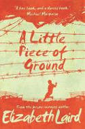 Cover image of book A Little Piece of Ground by Elizabeth Laird 