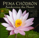 Cover image of book Pema Chodron 2025 Wall Calendar: Awakening the Heart - A Year of Inspirational Quotes by Pema Chodron 