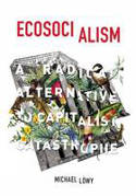 Cover image of book Ecosocialism: A Radical Alternative to Capitalist Catastrophe by Michael Lwy 