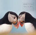 Cover image of book British Wildlife Photography Awards: Collection 8 by Various photographers