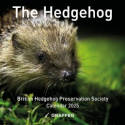 Cover image of book The Hedgehog Calendar 2025 by British Hedgehog Preservation Society 