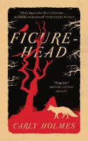 Cover image of book Figurehead by Carly Holmes 