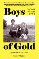 Cover image of book Boys of Gold by George Brinley Evans 